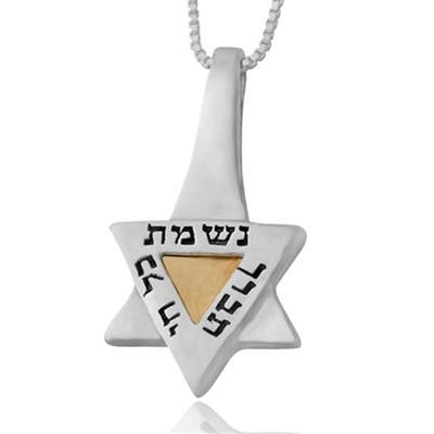 Star of David Pendant for Blessing and Spiritual Growth by HaAri - HA'ARI JEWELRY
